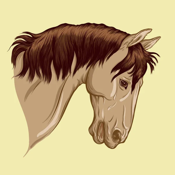Gemaltes Porträt Eines Pferdes Kopf Des Hellbraunen Anzughengstes Mit Dunkler — Stockvektor