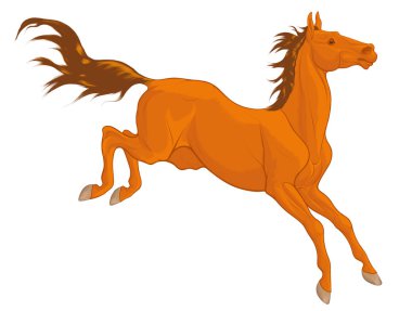 Genç kuzukulağı başarıyla müzakere bir engel at. Dikkatli ve heyecanlı aygır onun baş ve alevlendi burun delikleri atlama sırasında ortaya çıkar. Vektör küçük resim Binicilik mallar, atlama kulüpler için.