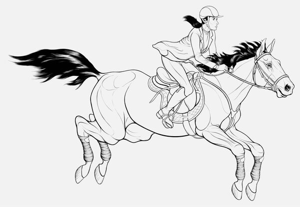 Rider and stallion negotiating a barrier on a show jumping course. Linear illustration designed for horseback riding goods or cross-country equestrianism. Steed and sportswoman passes the route.