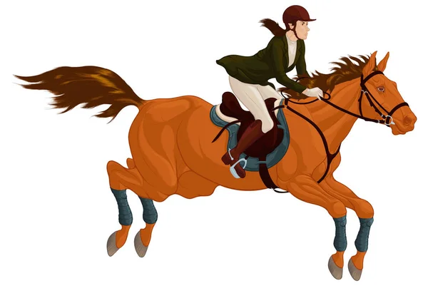 骑手和种马在表演跳跃的过程中谈判障碍 为骑马用品或越野马术设计的插图 骏马和女运动员通过比赛路线 — 图库矢量图片