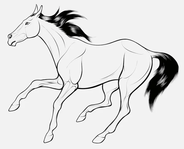 Quick Sketch Monochromatic Horse Dark Long Mane Galloping Free Vector — Stock Vector