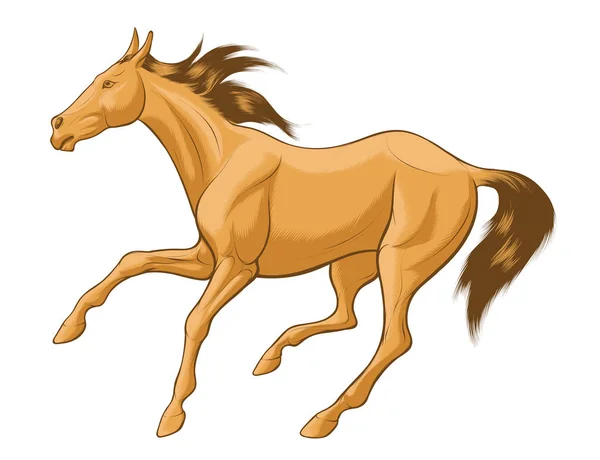 米色马与棕色的毛 疾驰自由的快速素描 马术农场的矢量剪贴画和设计元素 农业动物的标志 — 图库矢量图片