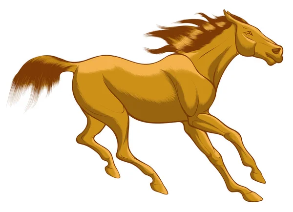 Esbozo Rápido Caballo Rojo Con Melena Marrón Galopando Gratis Vector — Vector de stock