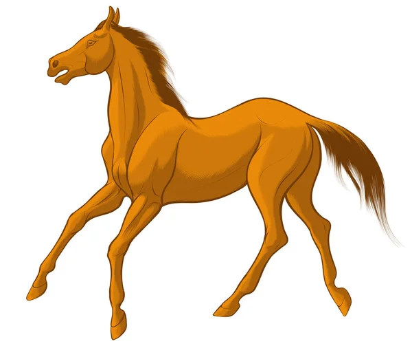 Quick Sketch Red Horse Brown Mane Galloping Free Vector Clip — Stock Vector