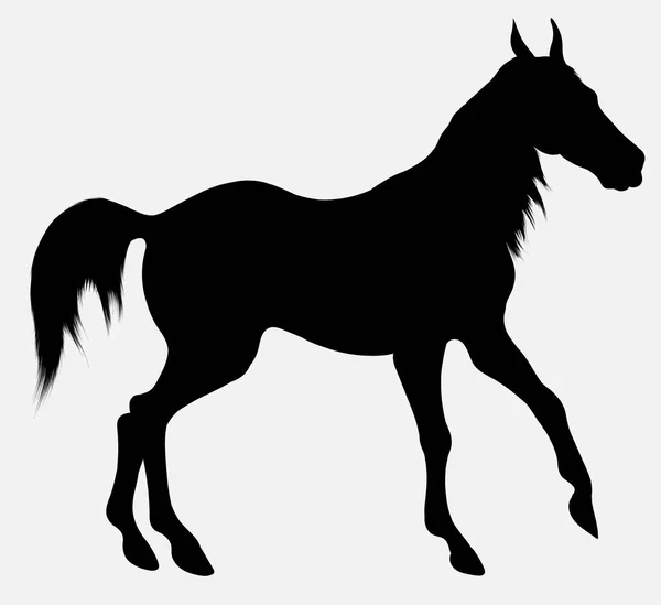 Silueta Vectorial Negra Caballo Con Melena Larga Caminando Libre Clip — Vector de stock