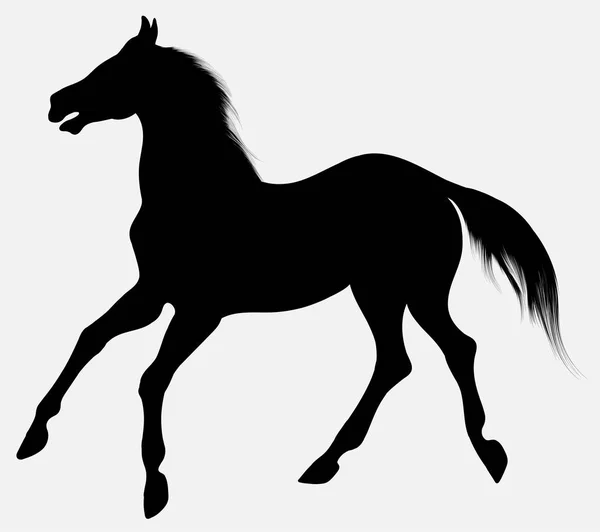 無料で歩いて 長いたてがみの馬の黒いベクター シルエット 馬業界のクリップ アートとデザイン要素です 農業動物の紋章 — ストックベクタ