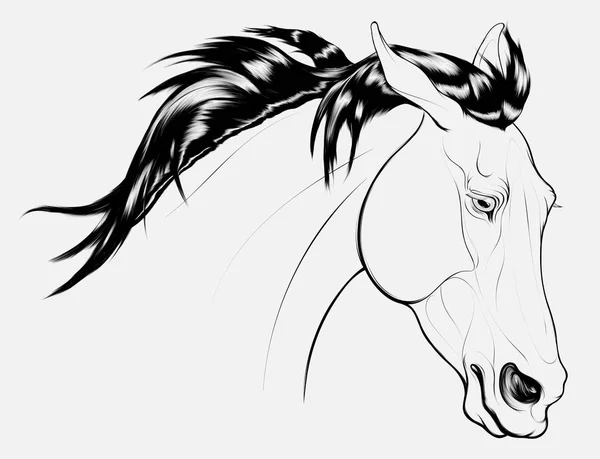 Linear Portrait Wary Stallion Laid His Ears Back Head Running — Stock Vector