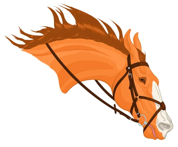 Caballo Castaño Brida Con Poco Snaffle Banda Nasal Mexicana Semental — Vector de stock