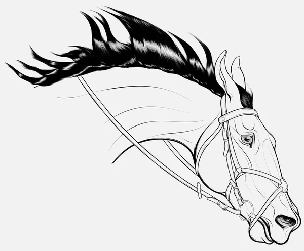 马的肖像 吊起它的脖子向前 并奠定了耳朵回来 头的跑步骏马在带鼻涕位和墨西哥鼻带 用于马术商品的矢量剪贴画 展示跳跃杆 — 图库矢量图片