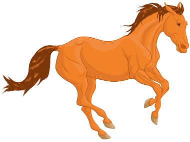 Ücretsiz dörtnala kestane atı renkli illüstrasyon. Kahverengi yele ile genç aygır heyecanla geri kulaklarını çekti ve hızlı bir hızda hareket. Vektör küçük resim, dekorasyon elemanı.