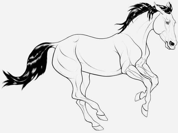 Μαύρο Και Άσπρο Εικονογράφηση Ενός Αλόγου Νεαρός Επιβήτορας Σκοτεινή Χαίτη Διάνυσμα Αρχείου