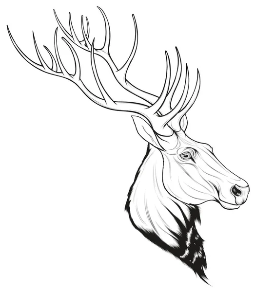 Tête Cerf Rouge Avec Longs Bois Illustration Vectorielle Linéaire Pour — Image vectorielle