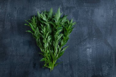 Organik ve eko gıda için yaratıcı poster. Gezegen posterini kaydet. kökleri olan bir ağaç gibi nane. Üst görünüm, düz yatıyordu. Koyu taş arka plan üzerine nane. Vegan çiğ gıda. Yaz taze gıda
