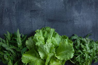 Koyu renkli bir arka planda yaz yeşillikleri. Yaz gıda afiş veya afiş kavramı. Üst görünüm düz yatıyordu. Tasarım için kopya alanı. Eko, yeşil, organik gıda konsepti