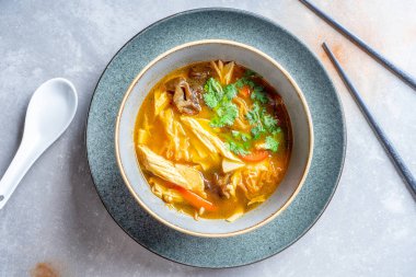 Domates, erişte, shiitake mantar, maydanoz ve ızgara tofu peyniri ile üst görünüm vegan çorbası. Pan asya yemeği. Kore mutfağı. Sağlıklı, vegan, dengeli yiyecekler. Kopya alanı. Düz yatıyordu