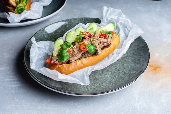 Pan-asian cuisine. traditional banh-mi sandwich with veal meat, parsley, cucumber, chili pepper. Famous Vietnamese fast-food. street food concept on grey stone background. bahn mi