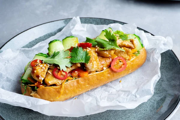 Pan-asian cuisine. traditional banh-mi sandwich with sweet and sour chicken, parsley, cucumber, chili pepper. Famous Vietnamese fast-food. street food concept on grey stone background. bahn mi