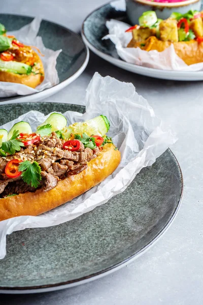 Pan-asian cuisine. Set of banh-mi sandwich with sweet and sour chicken, veal, tofu, parsley, cucumber, chili pepper. Famous Vietnamese fast-food. street food concept on grey stone background. bahn mi
