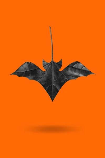 用枫叶制成的黑色蝙蝠,背景橙色. 万圣节假期的简约概念海报。 恐怖的假日 — 图库照片