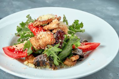 Domatesli iştah açıcı salata, roka ve beyaz tabakta ızgara hindi. Somut arkaplan