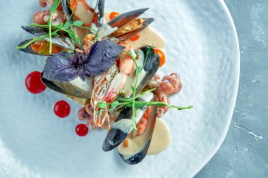 Krem soslu deniz ürünleri. Midye, bebek ahtapot ve gri arka planda beyaz tabakta soslu karides.