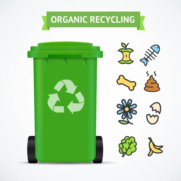 Realista 3d detalhada lixo Bin Organic Reciclagem Conceito. Vetor — Vetor de Stock