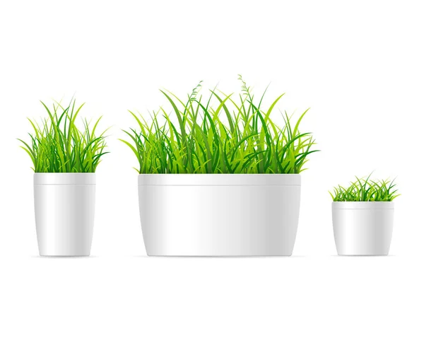 Gerçekçi 3d çim Houseplant Set ayrıntılı. Vektör — Stok Vektör