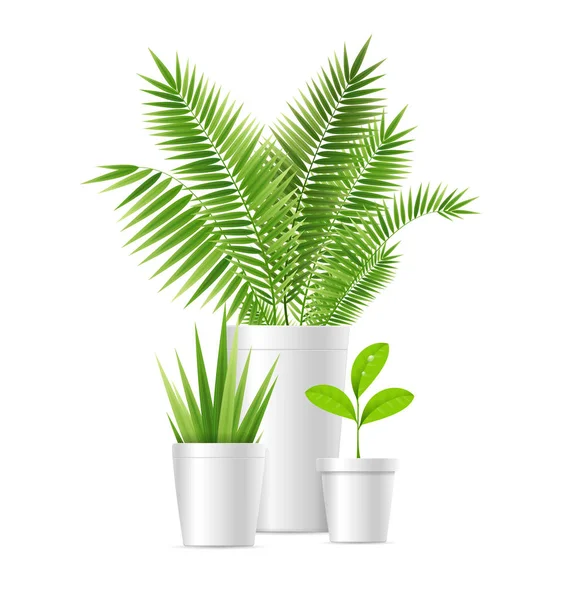 Realistische gedetailleerde 3d huis Plant Pot Set. Vector — Stockvector