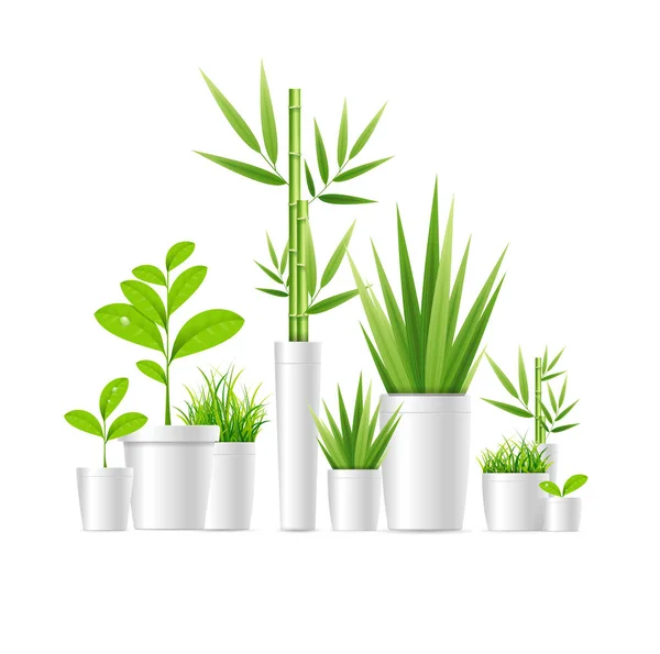 Realistische gedetailleerde 3D-groene kamerplant Pot. Vector — Stockvector