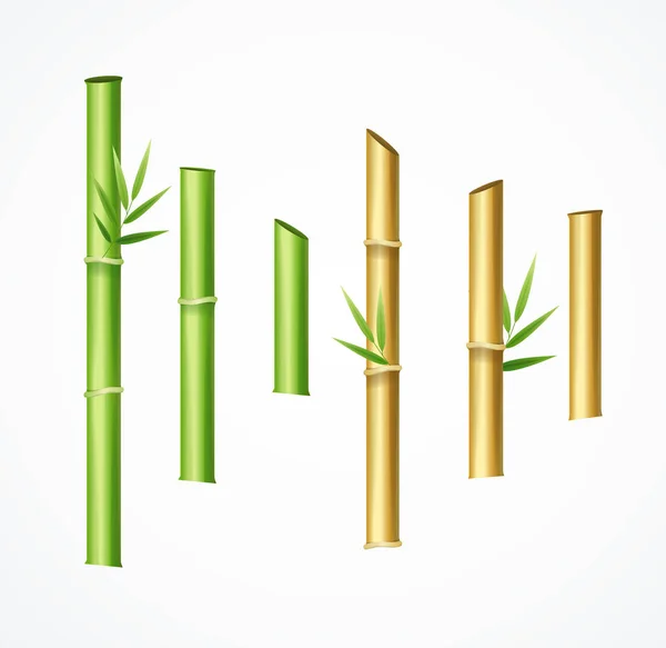 Realista 3d detalhada verde e marrom conjunto de bambu. Vetor — Vetor de Stock