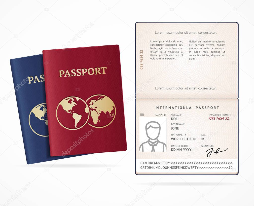 Realistic Detailed 3d International Passport Blank Set. Vector