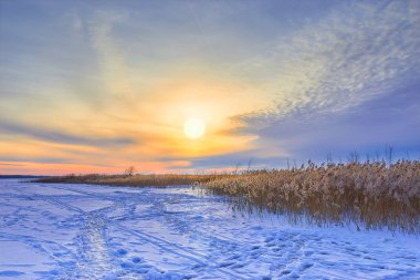 kış, kar, peyzaj, ahşap, soğuk, doğa