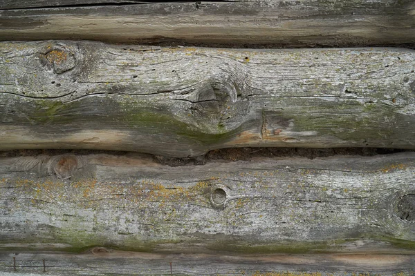 Old Wood Texture Natural Patterns — Stock Photo, Image