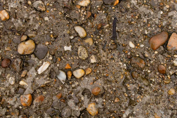 Pebble stenen vloer tegel naadloze achtergrond. Cement gemengd grind Pebble stenen vloer textuur. — Stockfoto
