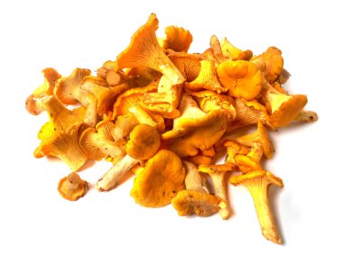 Taze organik chanterelle mantar yığını Cantharellus cibarius,