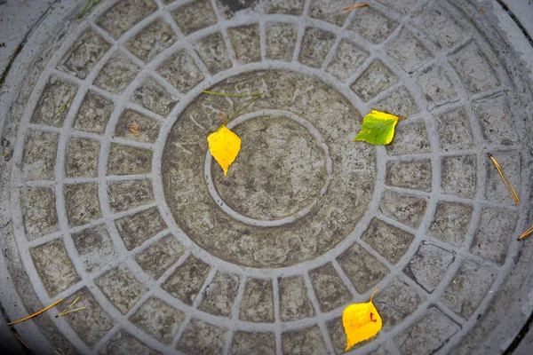 Sewer manhole with yellow autumn leaves manhole cover top view. — Stock Photo, Image