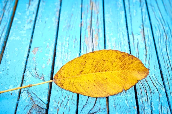 Jesienne tło z kolorowym upadkiem liści na drewnianej ławce z miejscem na tekst. — Zdjęcie stockowe