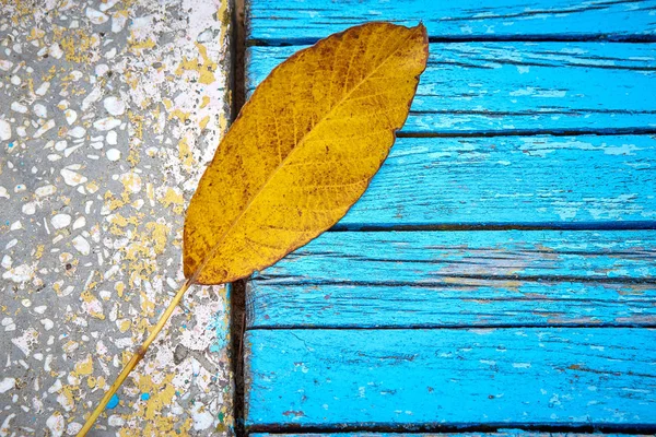 Jesienne tło z kolorowym upadkiem liści na drewnianej ławce z miejscem na tekst. — Zdjęcie stockowe