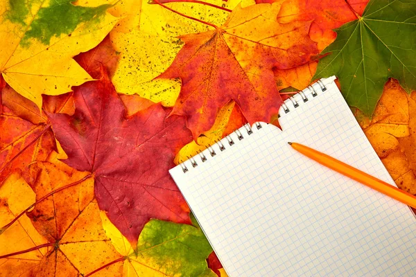Kolorowe jesienne liście i biała kartka z papierem z miejscem na tekst. Tło z jesiennymi liśćmi — Zdjęcie stockowe
