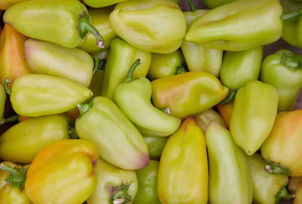 Sweet Green Bell Pepper Market Close Delicious Healthy Organic Food — Stock Photo, Image