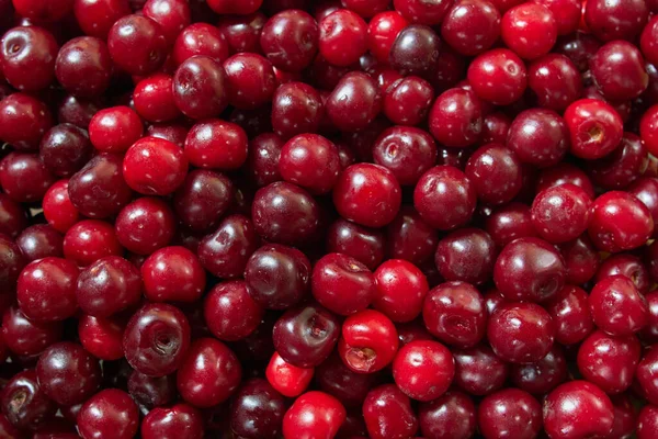 Arka plan olarak taze kiraz çilekleri. Meyve arkaplanı