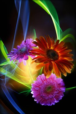 Gerbera orange and gerberas lilac on a multicolored background, improvization by green, orange, red and white  light in background clipart