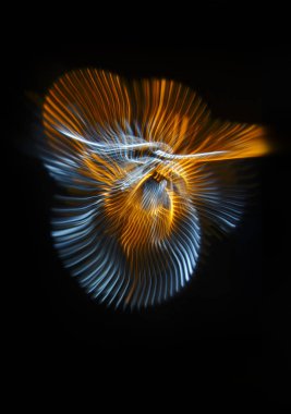 Necklac siyah bir arka plan üzerinde sipariş edilen paralel çizgiler bükülmüş. Işık hareket. Renk soyutlama.