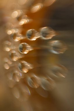 Çok renkli vurgular, ışığın renkli noktaları, ışık yamaları uyumu