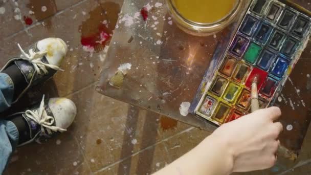 The artist paints with watercolor paints. Mixes colored paint — Stock Video