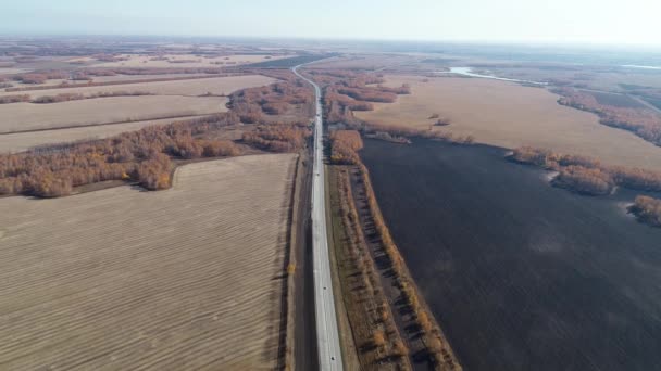 Vista aérea na estrada em um dia ensolarado. Transporte de carga, logística, entrega de carga. Autobahn. Estrada a passar pelo campo. Caminhões e carros dirigem ao longo da estrada . — Vídeo de Stock