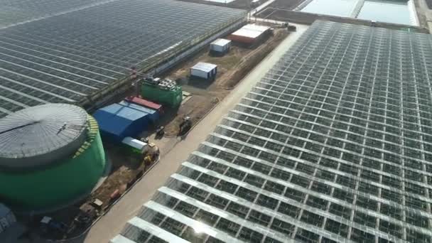 Met een helikopter over een groot broeikascomplex vliegen. Planten kweken. Plantage van groenten. Industriële kassen voor de teelt van groenten, fruit, bloemen. Moderne landbouw. Landbouwcomplex. — Stockvideo