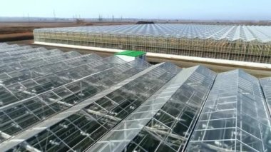 Sera kompleksinin üzerinden uçmak. Büyük tarım kompleksi. Tüm yıl boyunca sebze, meyve ve çiçek yetiştirmek için endüstriyel seralar. Tarım. Agrocomplex.