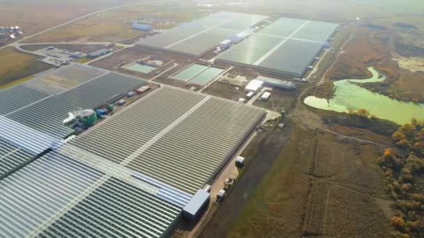 Gewächshauskomplex. Große landwirtschaftliche Komplexe. Industrielle Gewächshäuser zum ganzjährigen Anbau von Gemüse, Obst und Blumen. Moderne Landwirtschaft. Agro-industrieller Komplex. — Stockvideo