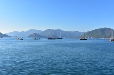 Doğal deniz süngeri. Yaklaş.